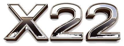 x22 logo